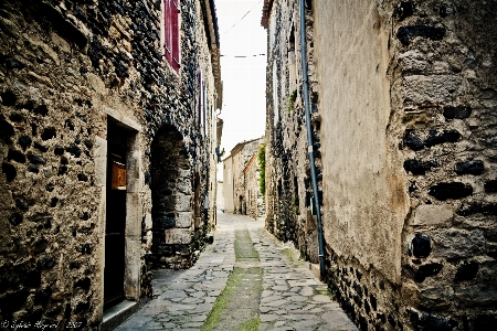 Natural alley street wall Photo