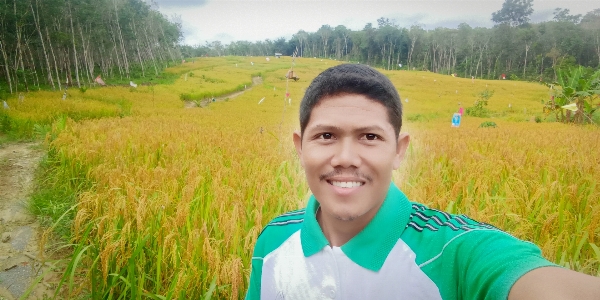 Field paddy people in nature Photo