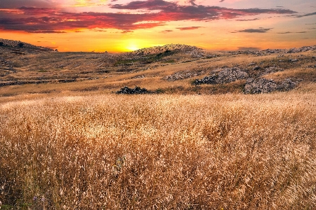 Sky grassland natural landscape nature Photo