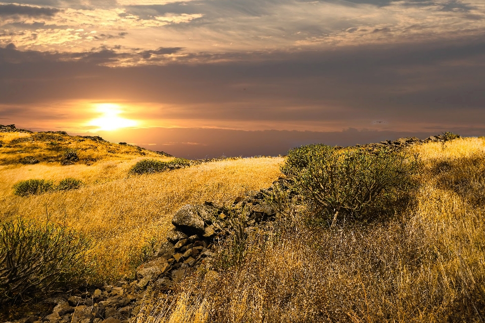 Sunset sky natural landscape nature