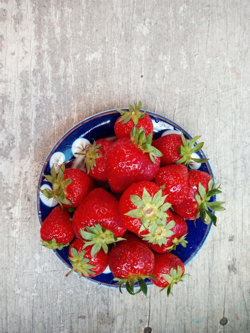 Cibo fragola fragole rosso