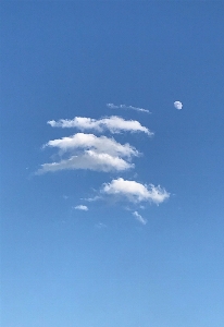 Moon cloud clouds blue Photo