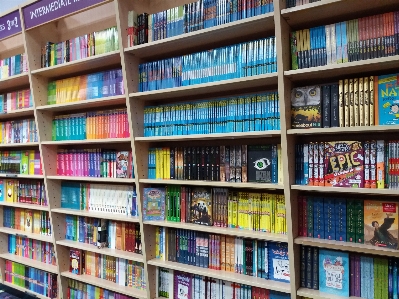 Book library shelving bookcase Photo