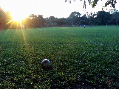 Soccer children playing baloon sunshine Photo