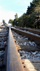 Trees train transport track Photo