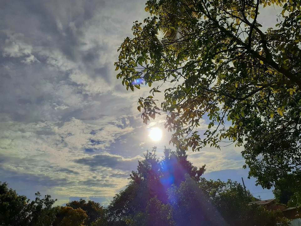 Soleil jour après-midi matin