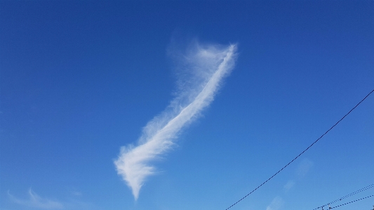 Foto Cielo penna blu giorno