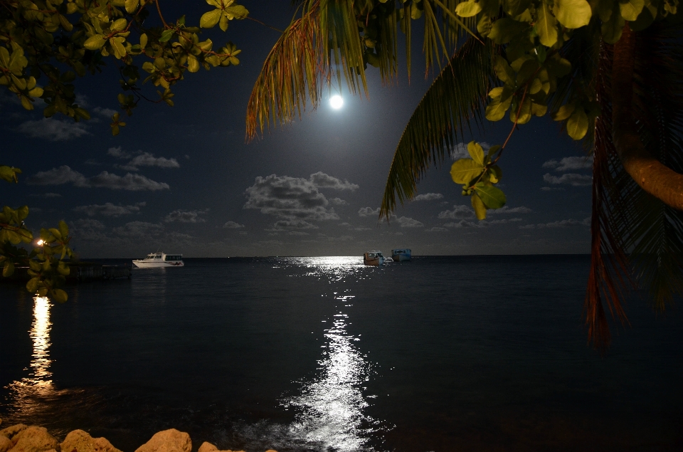 Tarjeta postal naturaleza cielo noche