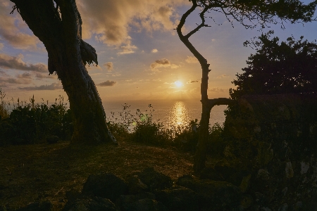 Baum sonnenaufgang himmel natur Foto