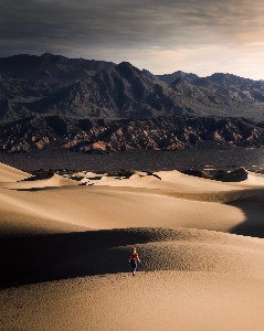 Scenery desert sand natural environment Photo