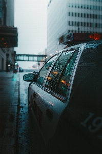 Foto Auto della polizia
 verde area urbana
 modalità di trasporto
