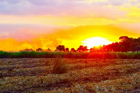 Sunset country sky nature Photo