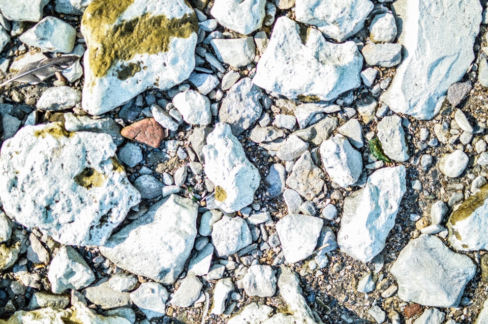 Felsen sommer muster strand