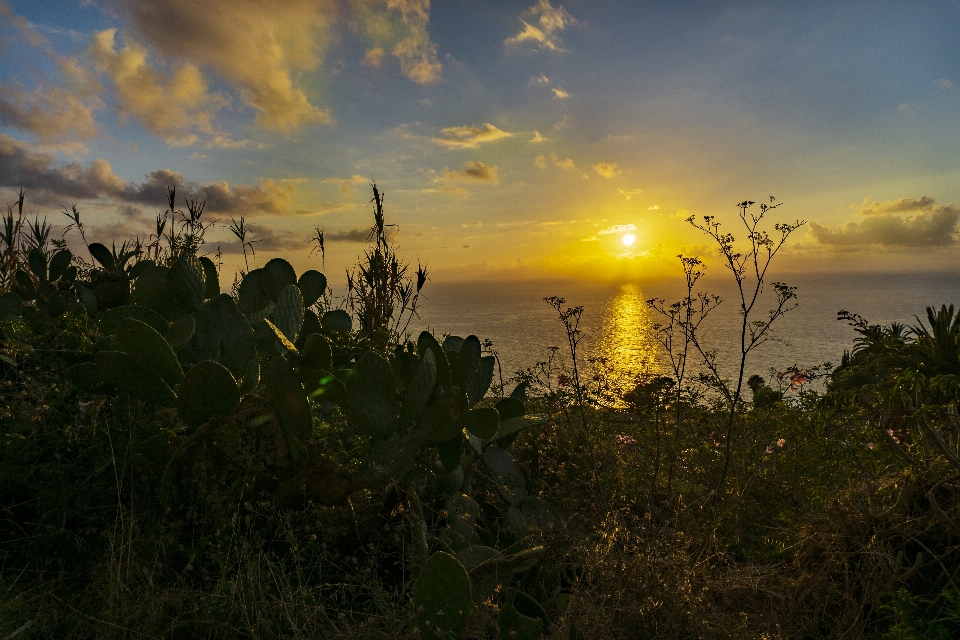 Nature sun sunrise sky