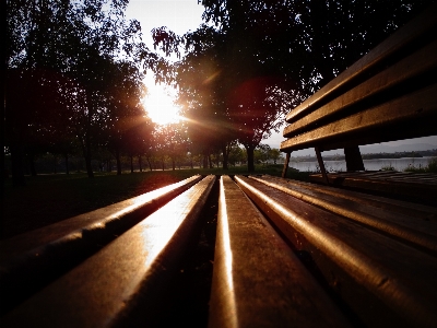 Banca parque amanecer lago Photo