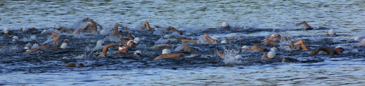 Foto Triathlon
 balapan renang rekreasi