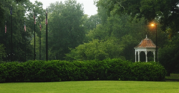 Garden sunset flags spring rain Photo