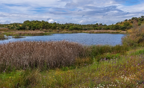 Landscape natural environment nature reserve Photo