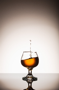 Whiskey cognac liquor spirits Photo