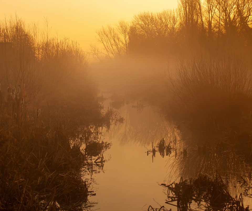 Misty riverbank morning outdoor