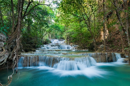 Tree waterfall body of water natural landscape Photo