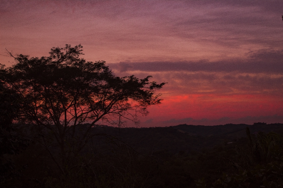 Sunset landscape sky silhouette