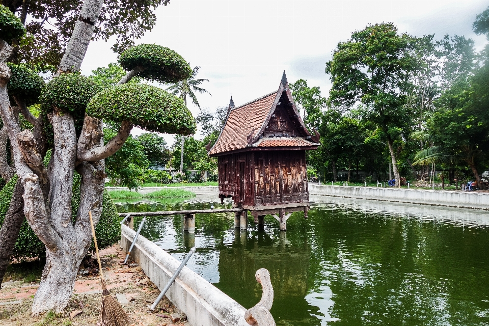 Bangunan air pohon kolam