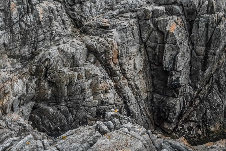 Rock cliff bedrock outcrop Photo