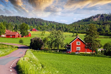 Landscape landscaped nordic countries old Photo