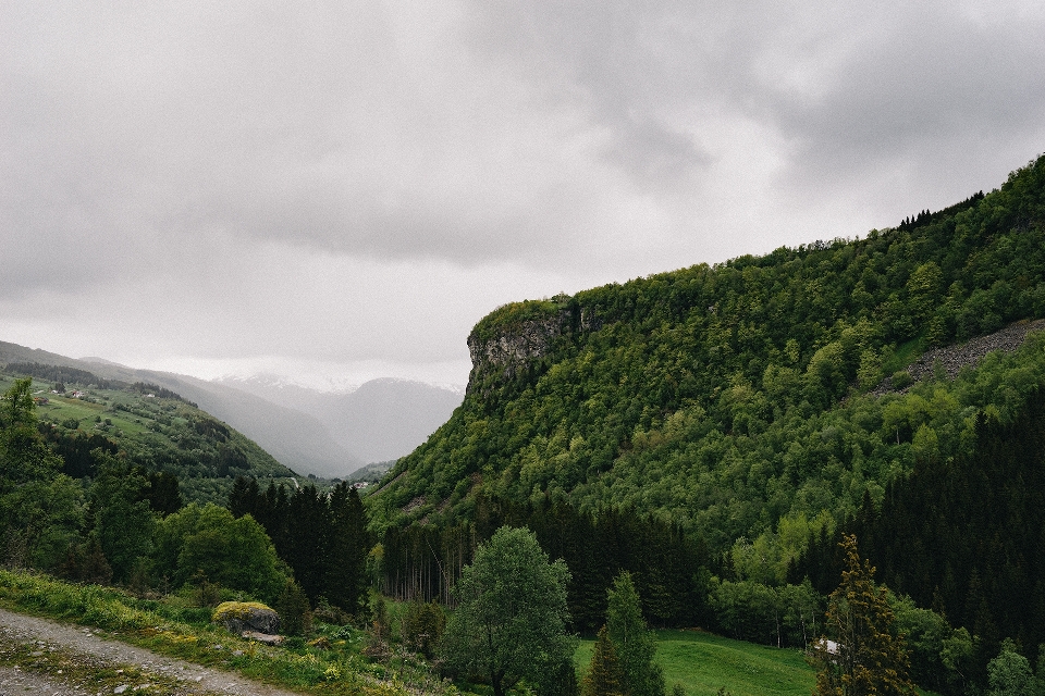 Natural planalto relevo montanhoso
 natureza