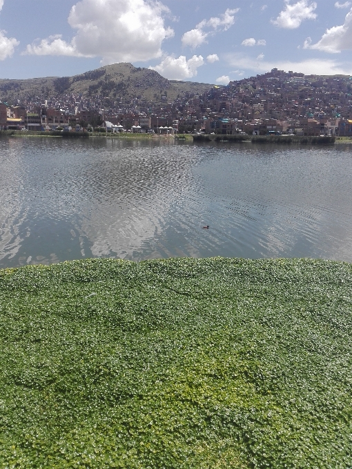 Lago titicaca
 recursos hídricos
 água verde