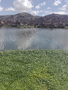 チチカカ湖
 水資源
 水 緑 写真