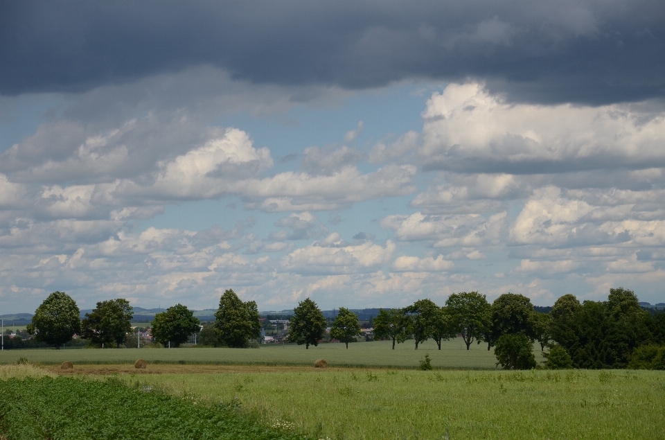 Cloud sky grassland natural landscape