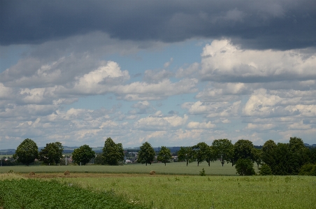 Cloud sky grassland natural landscape Photo