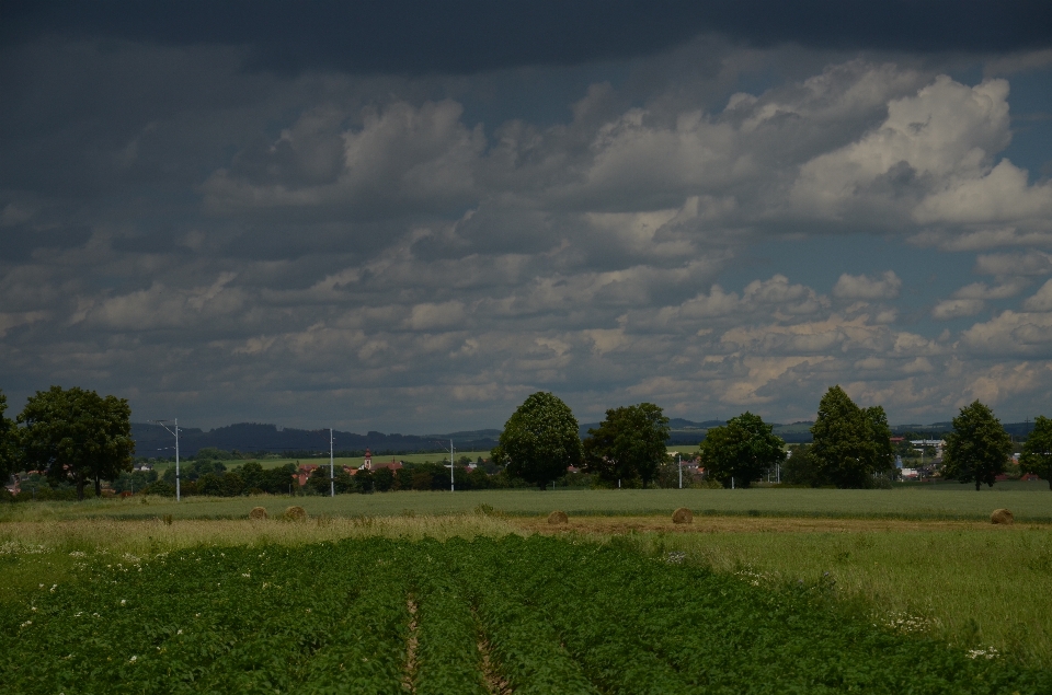 Cloud sky green nature