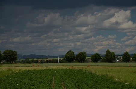 Cloud sky green nature Photo