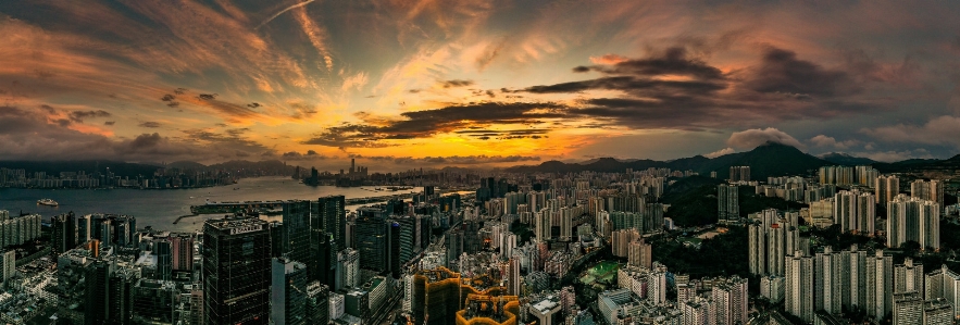 Hong kong city cityscape metropolitan area Photo