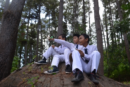 Foto Siswa pohon adaptasi hutan