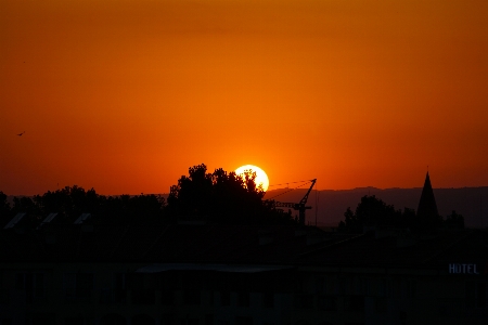 Sky tree sun sunset Photo