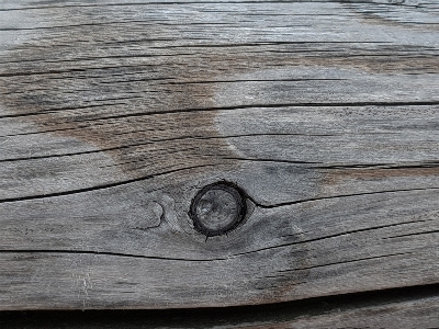 Wood stain plank hardwood Photo