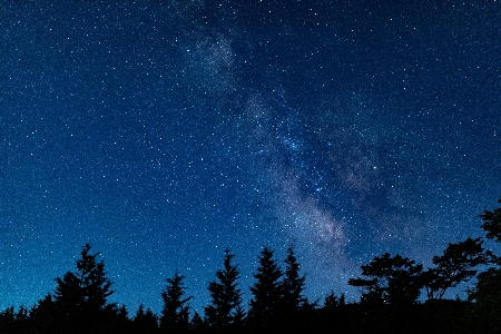 空 夜 青 木 写真