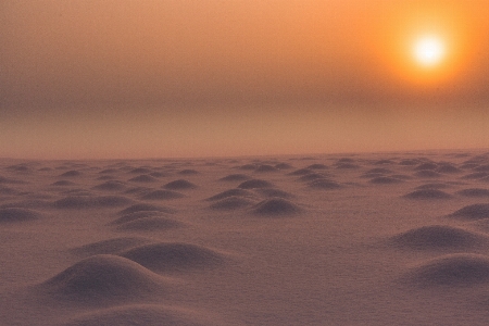 Sun sky natural environment atmospheric phenomenon Photo