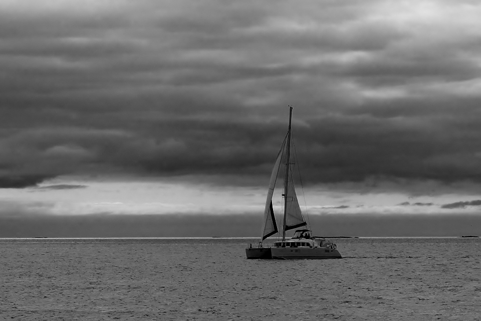 Navegación mar catamarán blanco