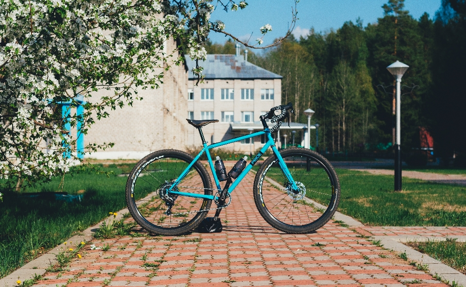 自転車 サイクル サイクリング 春