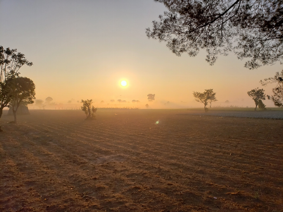 Soleil ciel phénomène atmosphérique
 matin