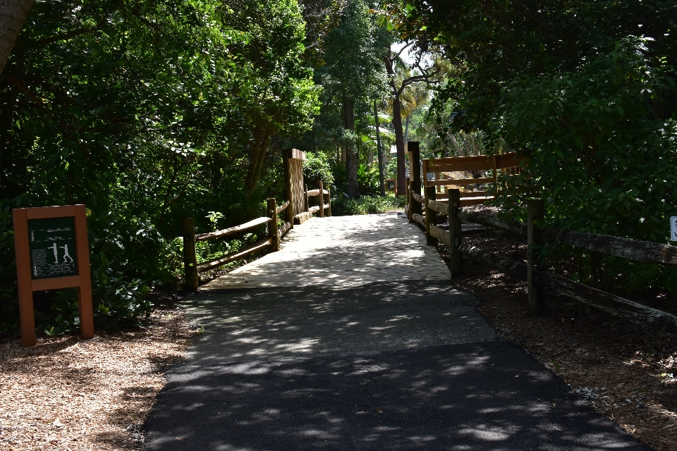 樹木園
 憲法公園
 ディアフィールド
 ビーチ