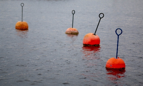 Buoys orange harbor sweden Photo