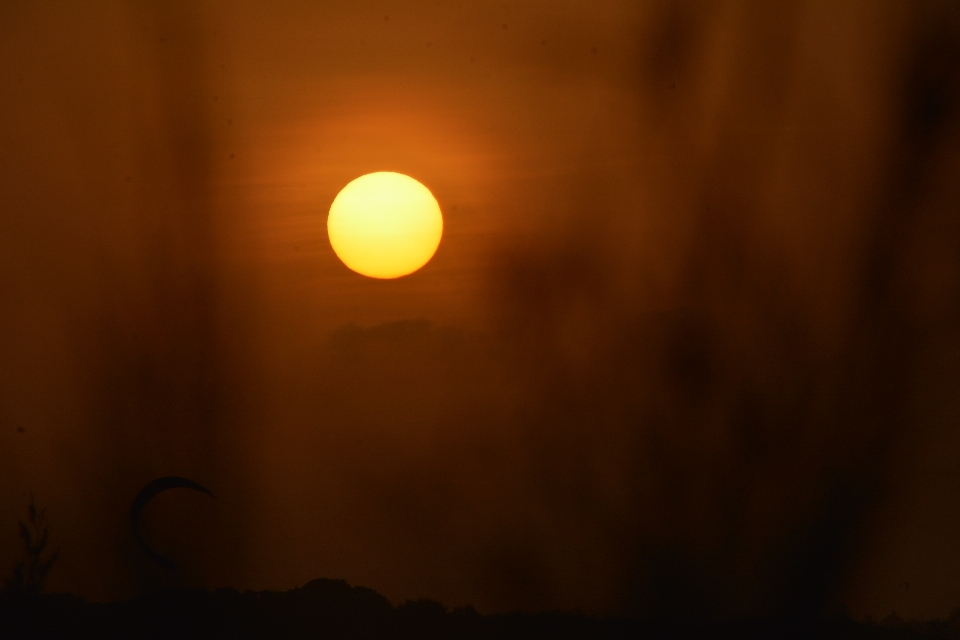 Lua céu laranja fenômeno atmosférico
