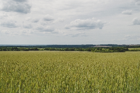 Nature beautiful view horizon natural Photo