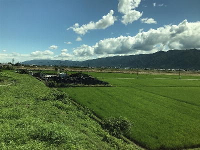 Countryside japan landscape paddy field Photo